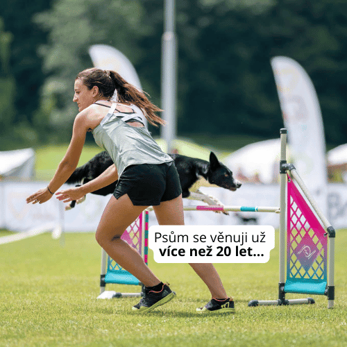 Ruční výroba obojků a vodítek pro psy Zamidog